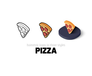 Pizza icon in different style vector