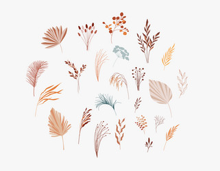 Plants dry palm leaf flowers and branches vector