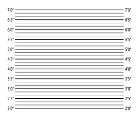 Police mugshotpolice lineup or mugshot background Vector Image