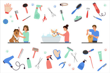 Scenes with people grooming dogs and tools vector