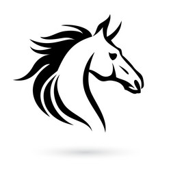 horse head Vector Image
