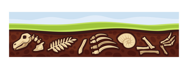 Underground Dinosaur Bones Royalty Free Vector Image