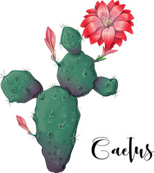 Cactus in desert and hand vector