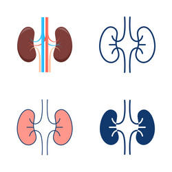 human kidneys icon set in flat and line style vector