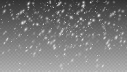 Realistic falling snow Royalty Free Vector Image