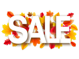 Autumn sale background vector