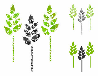 wheat ears composition icon humpy elements vector image