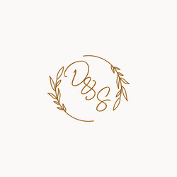 Letter ds wedding monogram logo design Royalty Free Vector