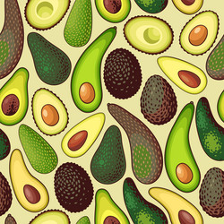 seamless pattern with sorts of avocado vector image