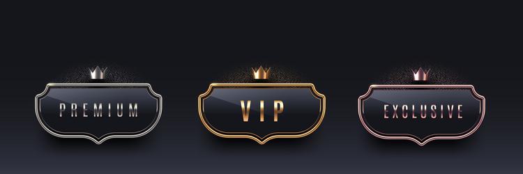 Vip glass label with golden crown Royalty Free Vector Image