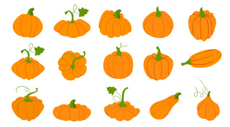 Orange pumpkins in flat style isolated on white vector