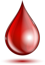 Blood drop isolated on white background vector