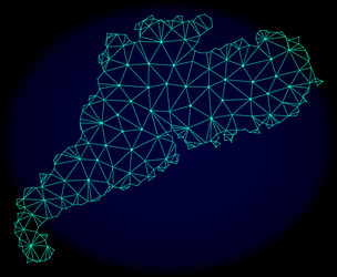 polygonal wire frame mesh abstract map vector image