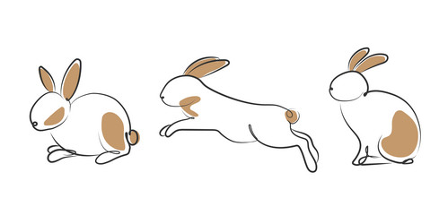 continuous line drawing of rabbit set vector image