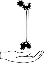 Structure humerus bone with name Royalty Free Vector Image