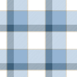 Blue and white plaid pattern vector