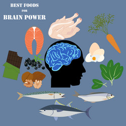 Best foods for brain power and health vector