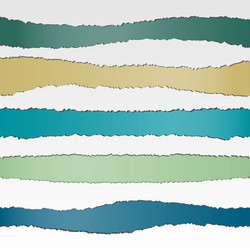 Torn Paper Banner Set Vector Image