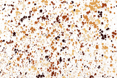 Coffee color grain texture isolated on white vector