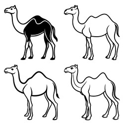 3d rendering of dynamic camel silhouette line art vector image