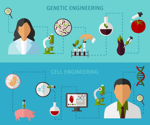 biotechnology colored banners set vector