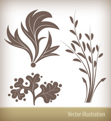 Floral elements for design vector