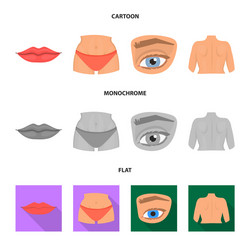 isolated object of body and part symbol vector image