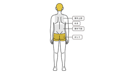 Mens hair removal full body front and back nude Vector Image