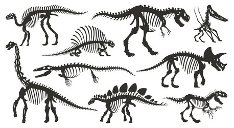 Prehistoric shell, dinosaur eggs,pterodactyl, mammoth. Dinosaur and  prehistoric period set collection icons in black,monochrome,outline style  vector s Stock Vector Image & Art - Alamy