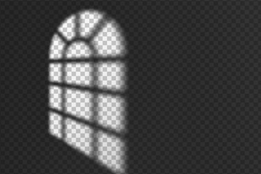 light effect shadow overlay from arched window vector image