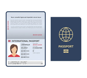 Passport Document - Identity Card vector image