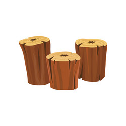 stumps of old dry trees organic wooden material vector