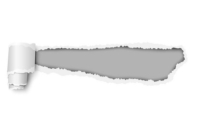 torn white sheet of paper with soft shadow vector image