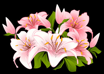 Flowers vector