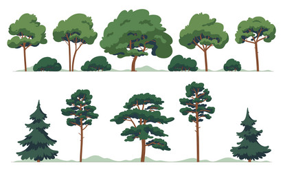 a set of deciduous and coniferous trees cartoon vector image