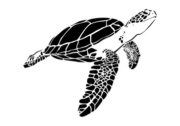 Graphic sea turtle Royalty Free Vector Image - VectorStock