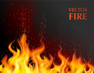 Realistic isolated fire effect with smoke Vector Image