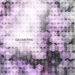 template design geometric color hexagon abstract vector image
