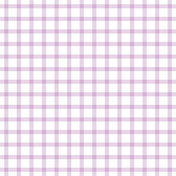 check print and lines seamless pattern vector image
