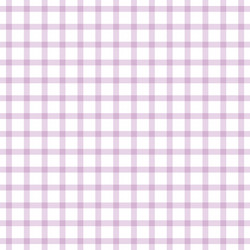 Check print and lines seamless pattern vector