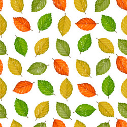 Grunge seamless pattern with colored leaves vector