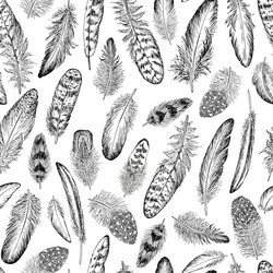 Feathers sketch seamless pattern vector