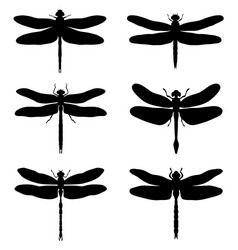 Dragonfly Silhouettes Vector Image