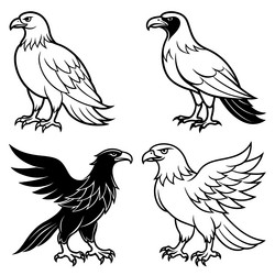 3d rendering of dynamic eagle silhouette line art vector image