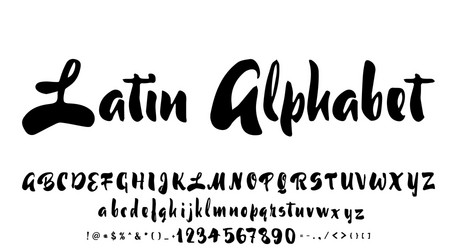 alphabet calligraphic font unique custom vector image