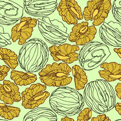 Seamless pattern a set walnuts kernels vector