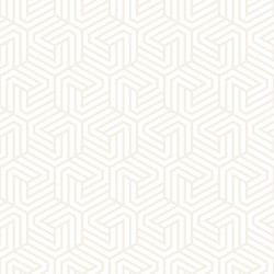 Subtle Hexagonal Pattern vector image