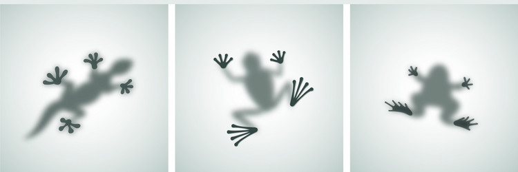 Diffuse Vector Diffuse Vector Images (over 15,000)