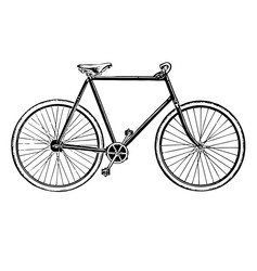 Vintage Bicycle Ink Etching Vector Image