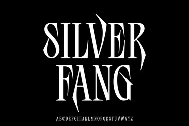 elegant sharp serif alphabet display font silver vector image
